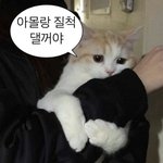 [댓글부탁해] 잘생긴 남자의 인생은