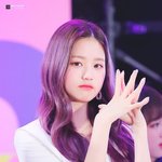 <b>보라머리</b> 대결