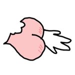 [19] 너네 이거에 대해 어떻게 생각함
