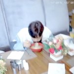 [댓글부탁해] 아이폰 11 <b>액정</b> 수리비용 얼마정도..