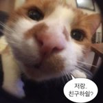 [댓글부탁해] 아놔 얘들아 진짜 <b>헤드셋</b> 색 추반해주ㅠㅠ