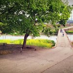 배달의 ㅇㅇ 배달오토바이 교통사고로 어머니가 돌아가셨습니다.