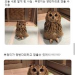 [댓글부탁해] 난 우리 아빠 교수인게 싫음