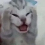 [댓글부탁해] 너희라면 팔취함?