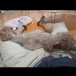 <b>근심</b>없이 자는 애기들이 부럽다ㅎ