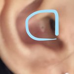 [댓글부탁해] 나 귀 안에 이거 뭐임?