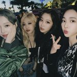 [드루와] 에스파한테 발작하는 이유 알려줌