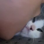 [NCT칠프] 너무 <b>기여워</b> 다 씹어먹고싶어