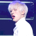 <b>몬</b><b>엑</b> 짤털