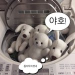 [ㅈㄱㄴ] <b>Isfp</b>들아 너넨 친한친구한테 속마음이나 고민