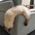 판녀들 <b>미리</b> 오야스미