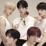 [이것좀봐줘] 투바투 컨셉 클립 미쳤다 그냥