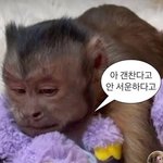 [ㅈㄱㄴ] 오늘 내과 갔는데 장겨울같은 <b>의사</b>쌤 있었음