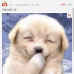 [드루와] 톡<b>선</b>에 친해지고 싶은상 이거 개소름