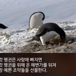애들아 잔칫날에 약간 슬픈노래 어때