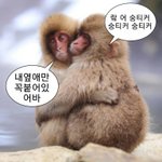 [NCT칠프] 내가 <b>숭이</b>짤 만들어봤어