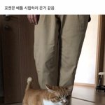 나 오늘 코로나 걸렸는데 오늘 생리<b>터짐</b>