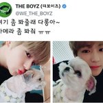 반려견이랑 사진 찍기 어려운 <b>덥</b>즈 <b>현재</b>ㅋㅋㅋㅋ