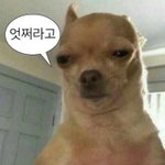 [드루와] 오늘 롯데월드 약속 <b>취소</b> 됐는데