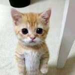 <b>시험</b> 땜에 살기싫다
