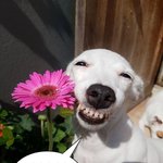 <b>대학</b> 보는 <b>눈</b> 낮추는 법 좀 알려줘