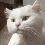 [드루와] 와..얘네 이거 뭔생각으로 올린거임?ㅋㅋㅋㅌㅌㅋㅋ