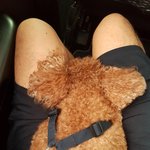 내 품 속으로 <b>슉</b> 숨은 애기ㅋㅋ 얼굴 왜 파묻엉