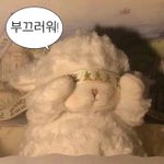 알바 추반해주면 길<b>가다</b> 5만원 주움