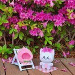 [NCT칠프] <b>재프</b> 인형 이거 귀엽지 않아??