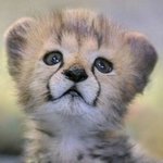 [NCT드림] 나 약간 살쪘어요..<b>오웅</b>