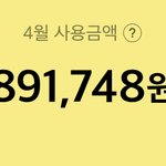 와 나 <b>돈</b> <b>개</b>많이 씀