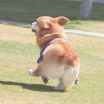 [댓글부탁해] 출산하면 세상이 바뀌나요