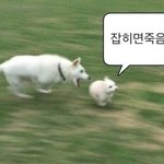 [댓글부탁해] 내 전남친 썸타는 것만 좋아하고 연애는 싫어하는