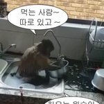 ㄹㅇ 짜장걸 됐다