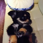 더보이즈 주연이랑 <b>용이</b>