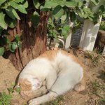 [모두드루와] 현재 걸그룹 탑 에<b>트레블</b> 맞음?