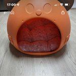 울엄마 당근<b>마켓</b> ㄱㅇㄱ ㅋㅋㅋㅋㅋㅋㅋㅋ