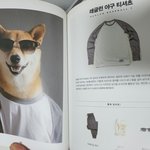 내일은 이 패션으로 <b>입어</b>볼까