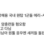 유튜브에서 <b>채널</b> 소개 이렇게 한 애 봤는데