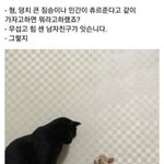 깻잎<b>논쟁</b> 자존감이랑은 상관없는듯