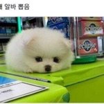 [댓글부탁해] 나 오늘 <b>생일</b>인데