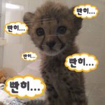 [NCT칠프] 현생 <b>시작</b> 사분<b>전</b>.....