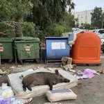 [드루와] <b>학원</b> 남자애한테 인스타팔로우 옴