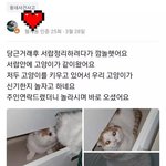 당근에서 <b>서랍</b> 샀는데 이상한 소리가 나서 열어 보니