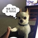 등급별대 시험 후 반응