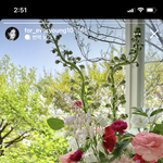 장원영 인스스 <b>쇼메</b> 선물 받음