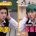 엑소를 판다는 건
