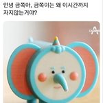 [댓글부탁해] 이거 후회할까???