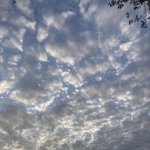 추반해줘,,.,.,<b>젭알</b>,.,,