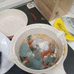 [댓글부탁해] <b>곰팡</b>이 어때 <b>곰팡</b>이 키움